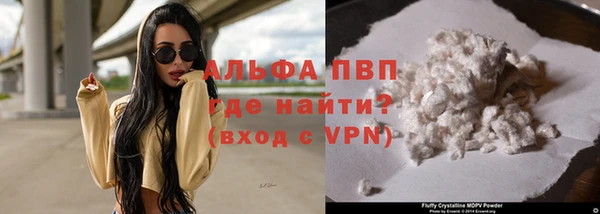 гашик Арсеньев