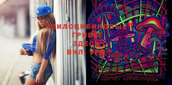 дживик Покачи