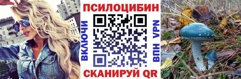 Галлюциногенные грибы Psilocybe  Сертолово 